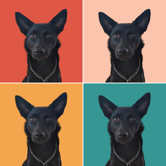 personalizirani posteri